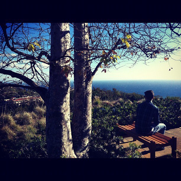 Stop at Pepperdine University for the best view of the ocean. Bears like to sit and stare at beautiful things. 
