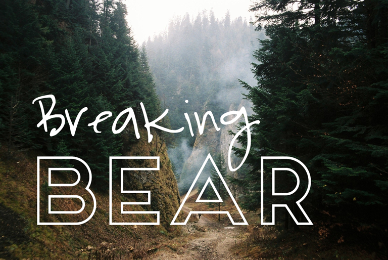 Inspiration – Breaking Bear