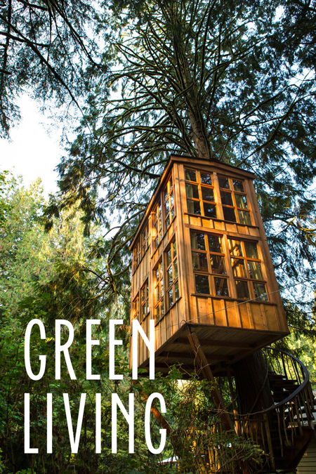 Tree House – Green Living